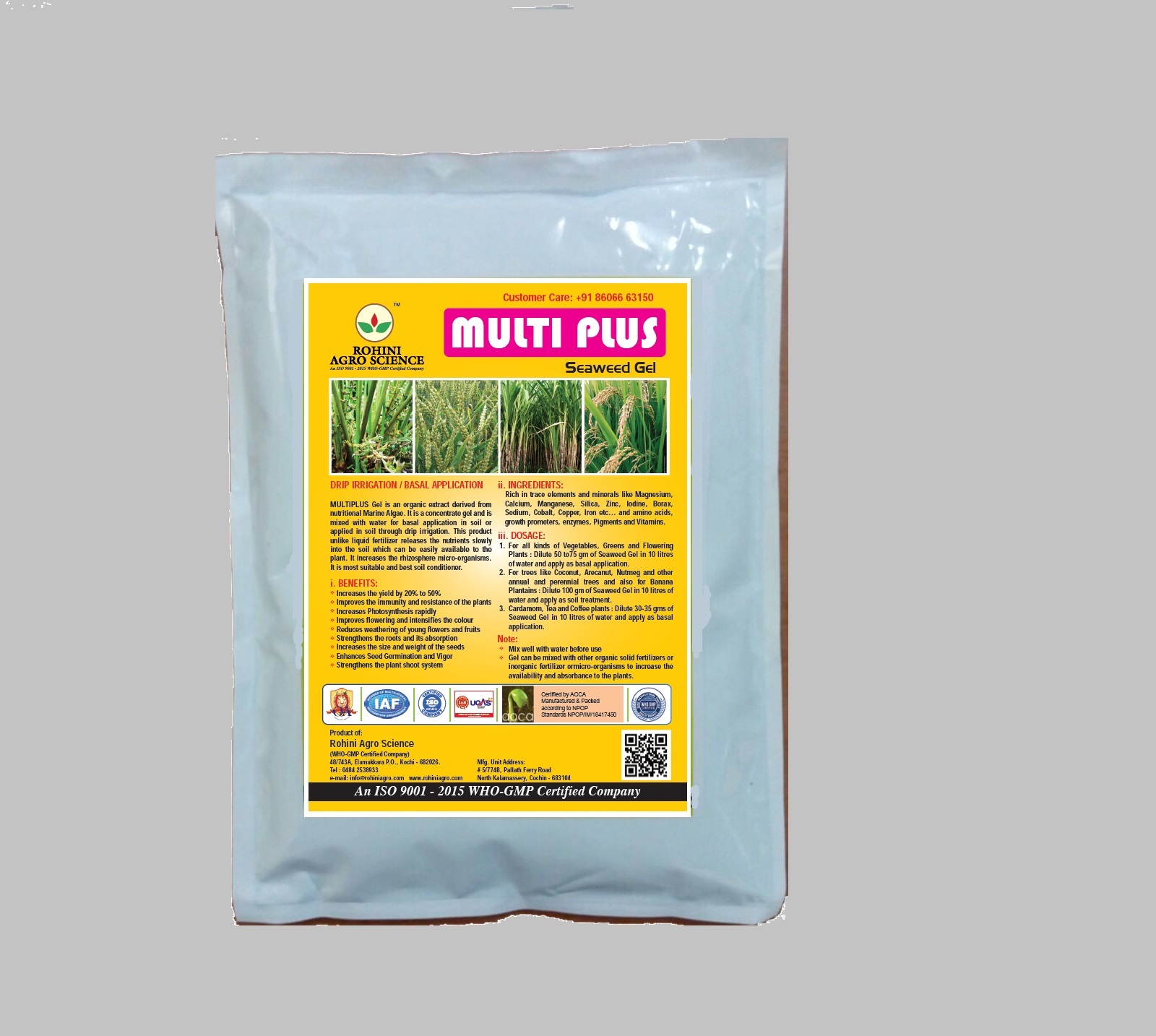 PGR Weed What Is It And How To Identify It The Cannigma, 41% OFF